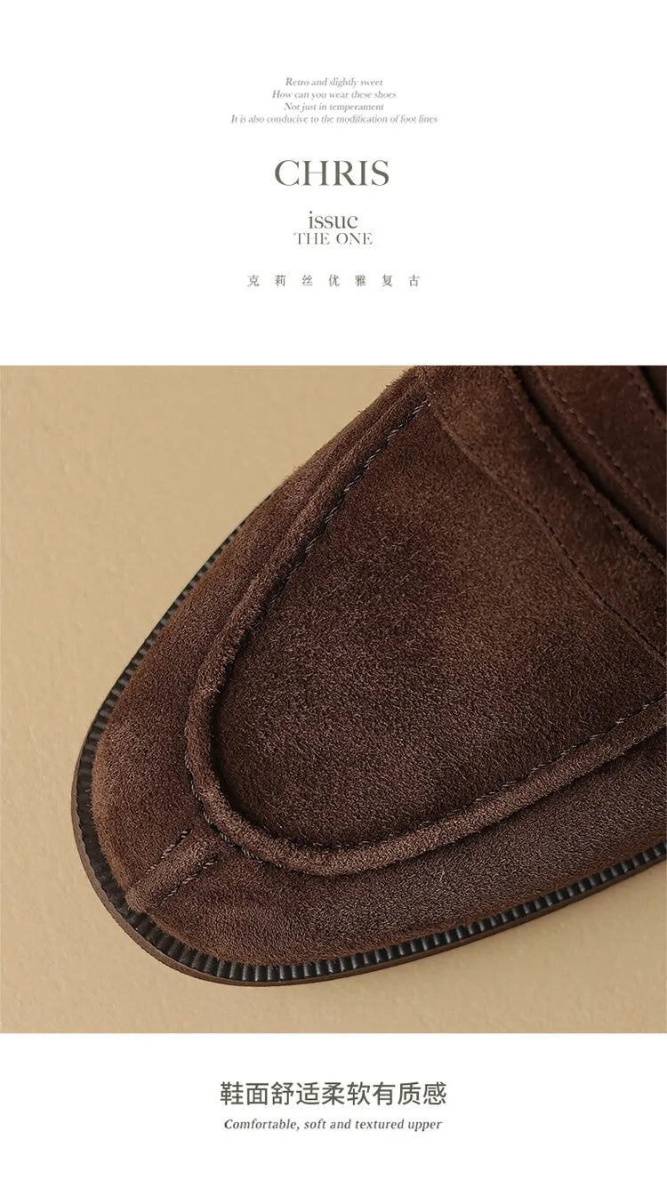 Brown Casual Flats Ladies Shoe Fashion Suede